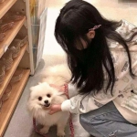 魔星狂点龙珠官方版下载