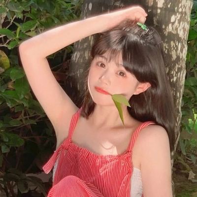 代号dark测试服下载